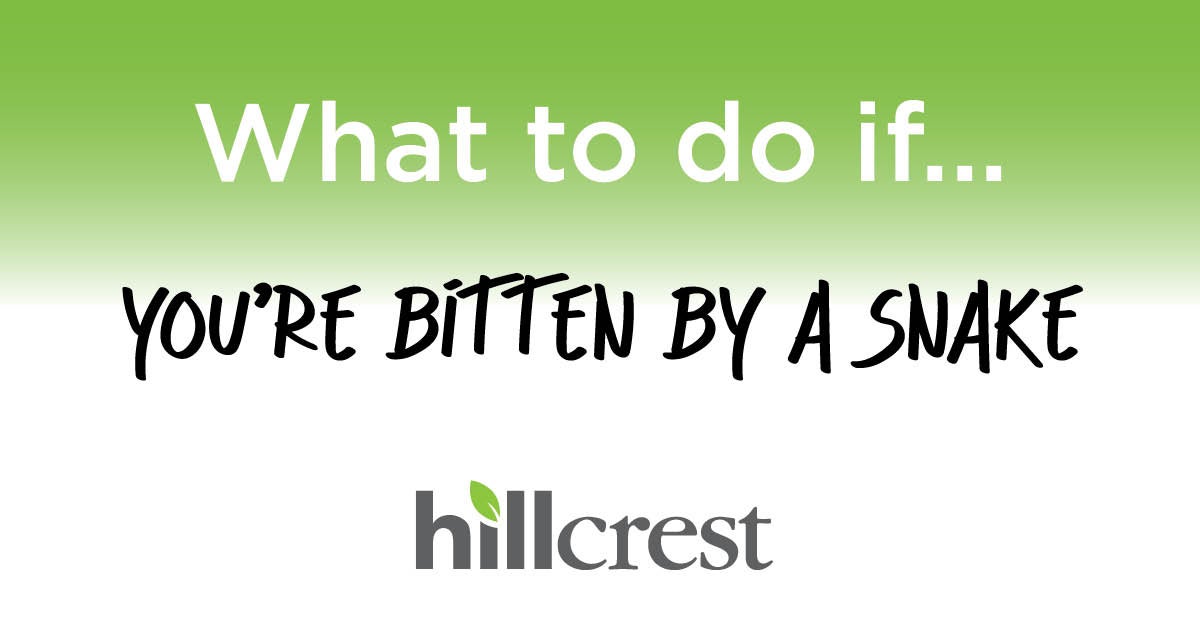 What To Do If ... You're Bitten By A Snake | Hillcrest Medical Center ...